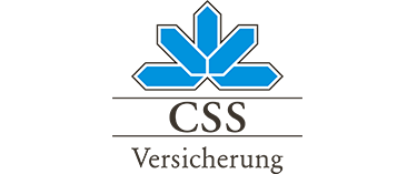 css 